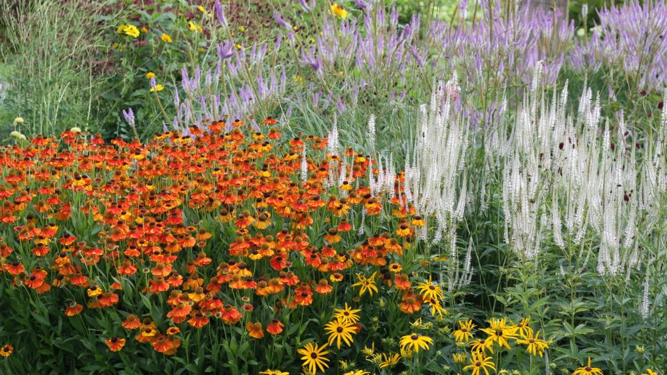 Garten aus einem umgesetzten Projekt