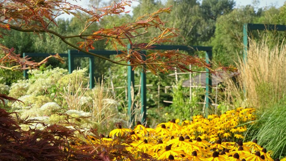 Garten aus einem umgesetzten Projekt